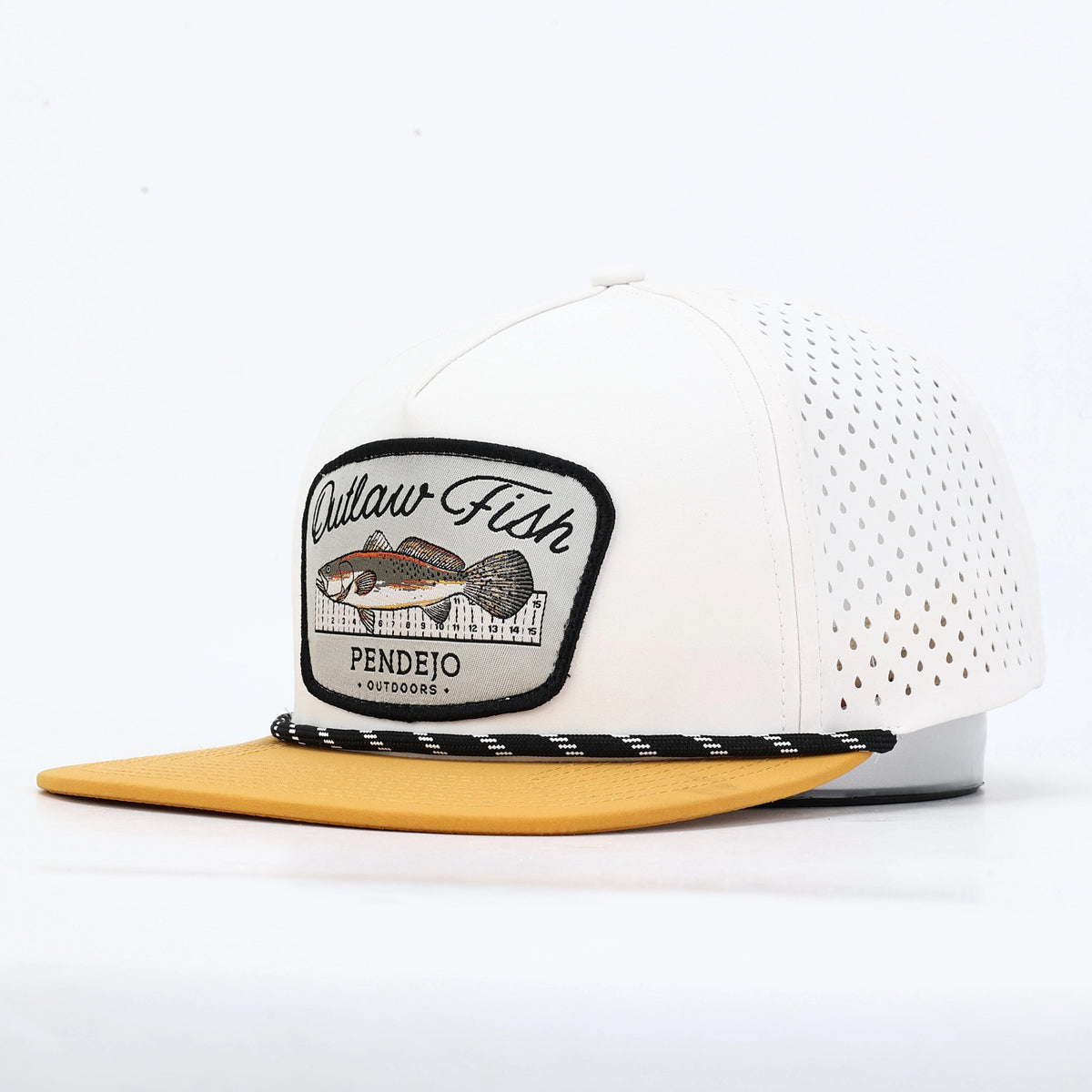 Outlaw Fish image 0